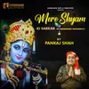 About Mere Shyam Ki Sarkar Song